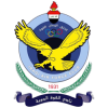 Al Quwa Al Jawiya