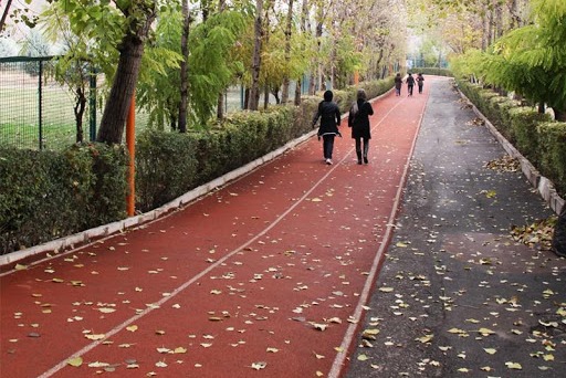 تمدید یک هفتهای محدودیت فعالیتهای ورزشی در انقلاب و شیرودی