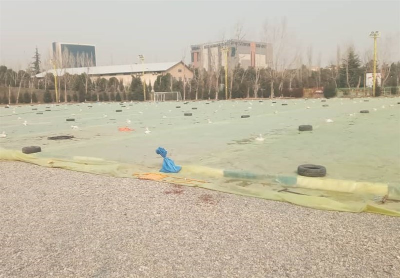 آمادهسازی چمن مجموعه انقلاب برای برگزاری تمرینات استقلال(عکس)