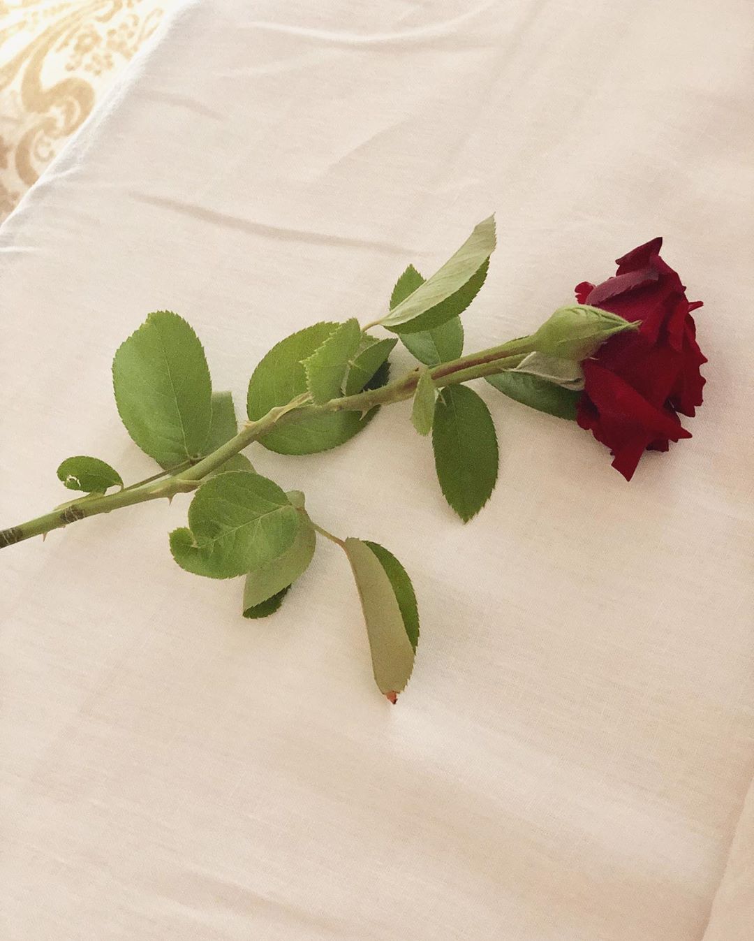 پیام احساسی همسر کاسیاس در مورد بیماریاش: خارها از زیبایی گل کم نمیکنند
