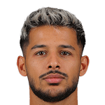 مهدی قایدی (آمار، گل ها و افتخارات) | فوتبالی