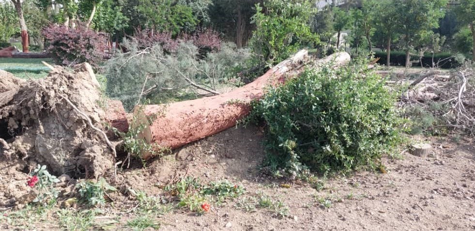 خسارت طوفان تهران به ورزشگاه آزادی (عکس)