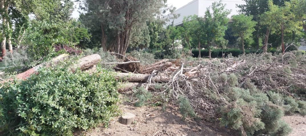 خسارت طوفان تهران به ورزشگاه آزادی (عکس)