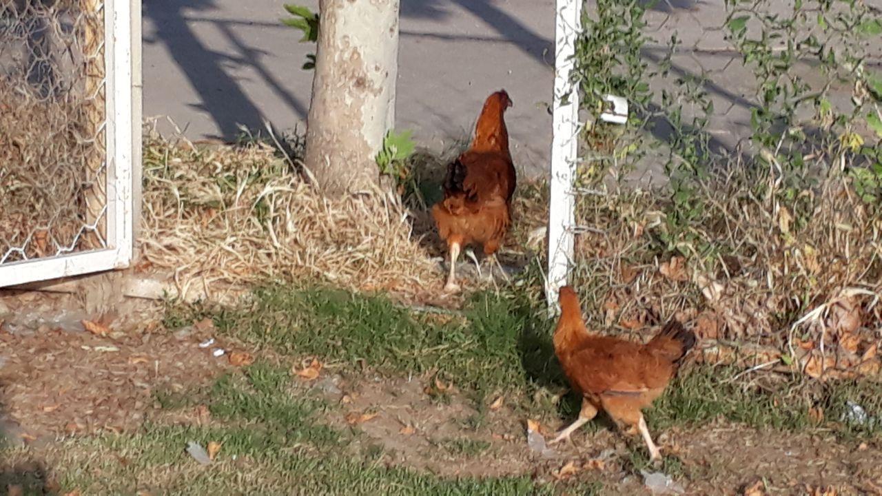 تصویر خبر