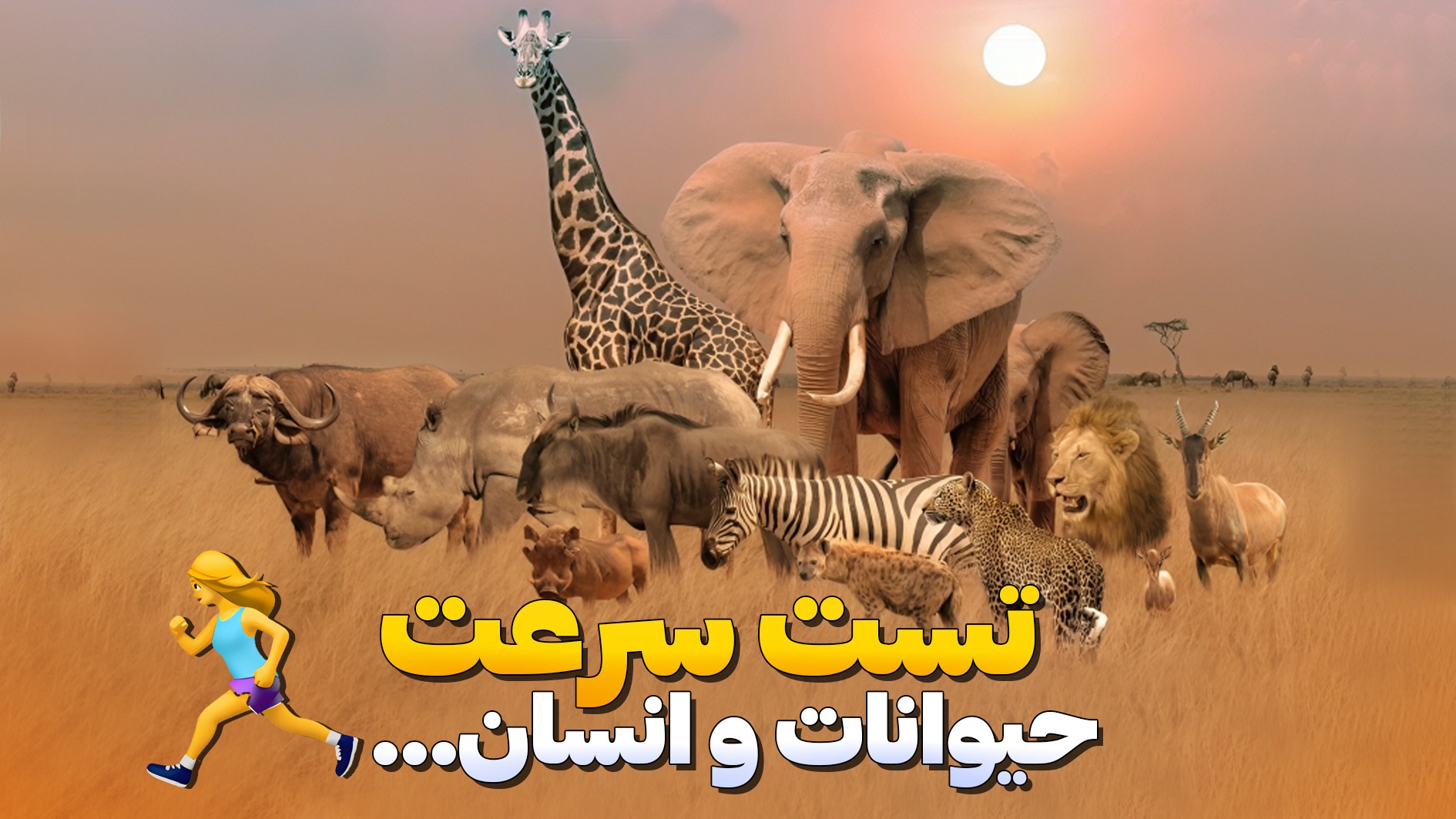 تست سرعت بین انسان و حیوانات به صورت انیمیشن