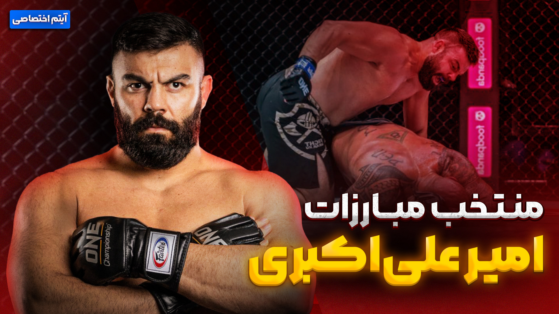 منتخب مبارزات امیرعلی اکبری