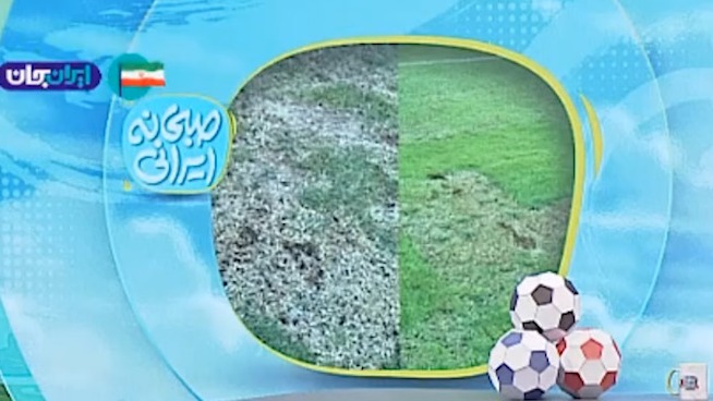 وضعیت عجیب و غریب چمن ورزشگاه تختی تهران!