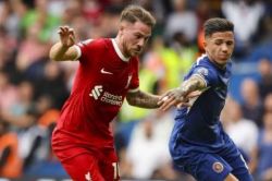 رئال مادرید چشم به ستارههای خط میانی؛ مکآلیستر و انزو گزینههای مورد نظر