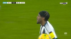 گل اول نیوکاسل به منچستر سیتی (گل زیبای الانگا)