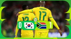 خلاصه بازی آفریقا جنوبی 1-0 کره جنوبی