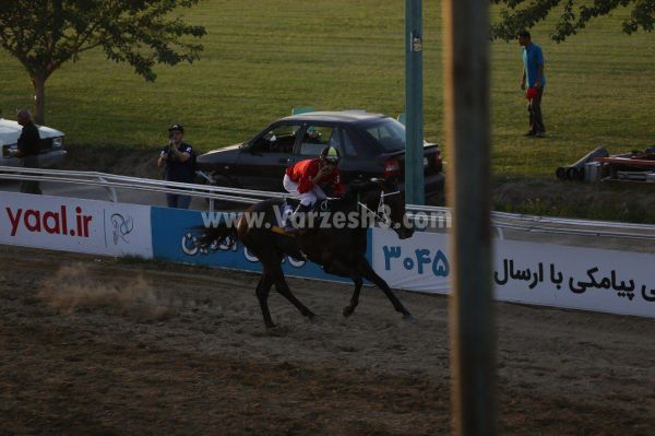  سردار و دو قهرمانی جدید در اسبدوانی   عکس