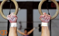 گزارش ویژه؛ چه کسانی بدون کار کردن از فدراسیون ژیمناستیک حقوق میگرفتند