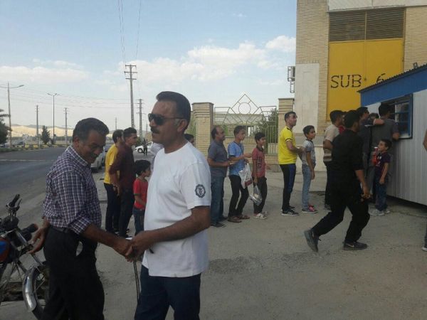 جمیها یاد شاهین بوشهر را زنده کردند عکس