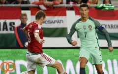 قرعه کشی پلی آف جام جهانی در اروپا چگونه خواهد بود