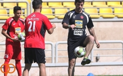  گزارش تمرین پرسپولیس  تمرین خاص برانکو برای پرسپولیسی‌ها  کنایه باقری به یک بازیکن جوان