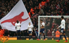 پوچتینو تصمیمات داور و کمکهایش، موجب باخت تاتنهام شد