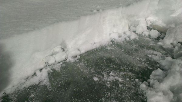  15 سانتی متر برف روی چمن فولادشهر عکس