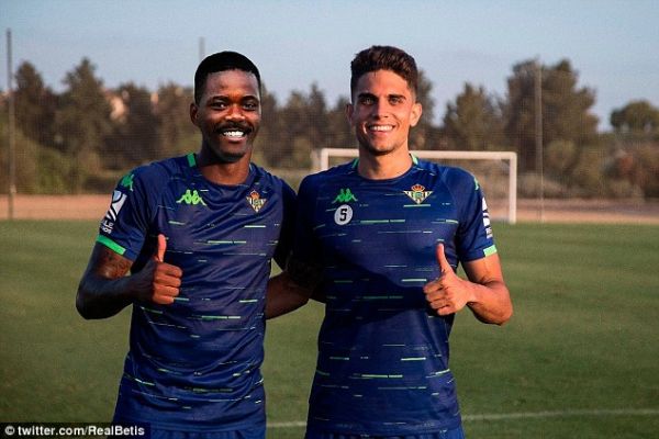  اقدام عجیب بتیس در معرفی خرید جدید  عکس