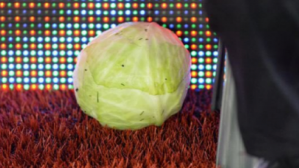 اخراج اسطوره یونایتد بعد از کلم گیت عکس