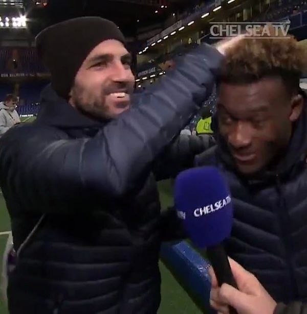 شوخی جالب فابرگاس با ستاره جوان چلسی عکس