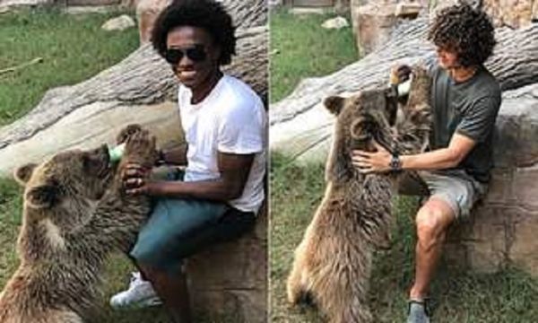 غذا دادن بازیکنان چلسی به بچه خرس عکس