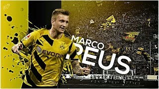  مارکو رویس مرد سال فوتبال آلمان شد