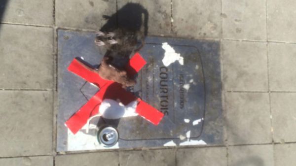 حمله به پلاک کورتوا با موشهای اسباببازی