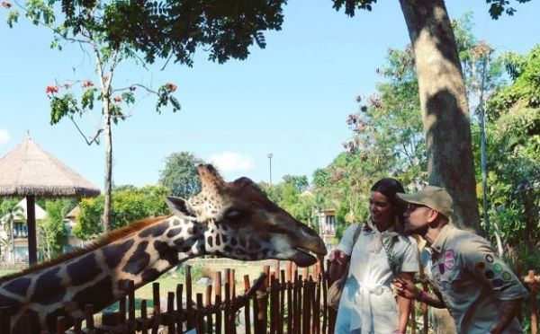  عکس؛ شغل جدید دنی آلوز در یک باغ وحش