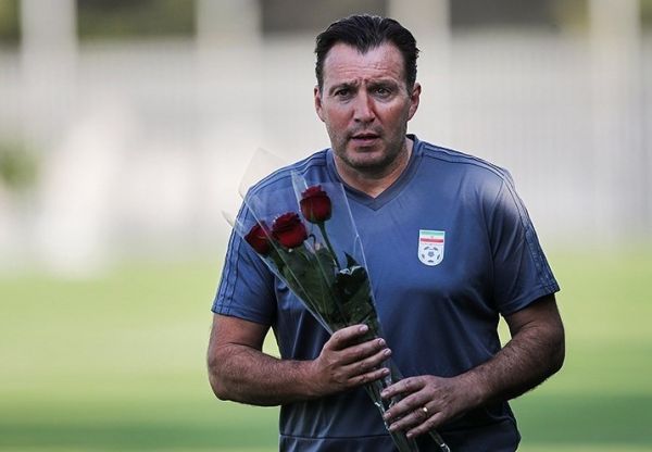 حقوق ویلموتس دغدغه جدی رئیس فدراسیون فوتبال تاج به دنبال پول آقای سرمربی