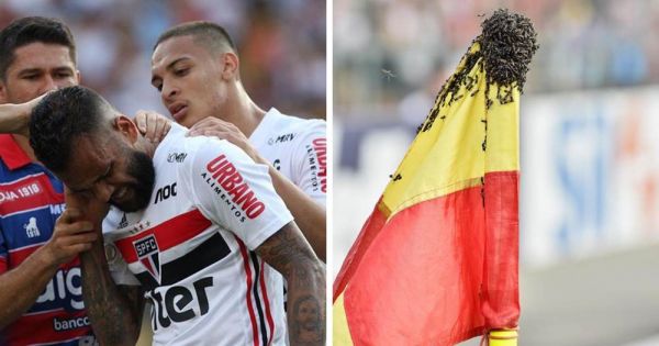  حمله گروهی زنبورها به دنی آلوز در زمین مسابقه