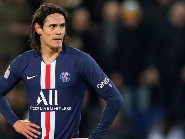 مدیربرنامه کاوانی سرسو کی هست چه کاره است