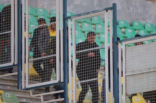 اساسنامه فدراسیون؛ فیلتری که شهردار از آن رد میشود، دایی نه