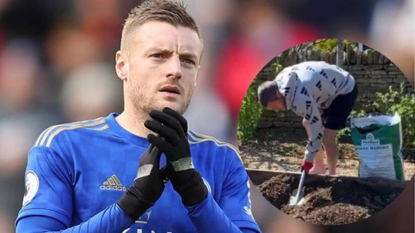 قرنطینه جالب جیمی واردی؛ سبزیکاری و نگهداری مرغ و خروس