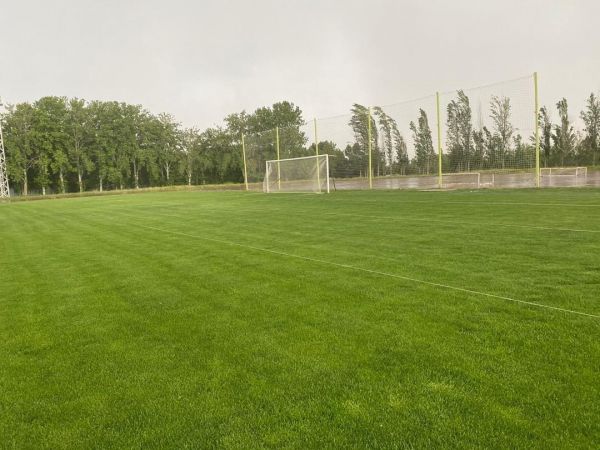  وضعیت کنونی زمین شماره 2 ورزشگاه آزادی که امروز برای تمرین استقلال تهیه شد