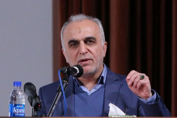 وزیر اقتصاد خصوصی سازی سرخابیها مخالفانی دارد اما تصویب شده است