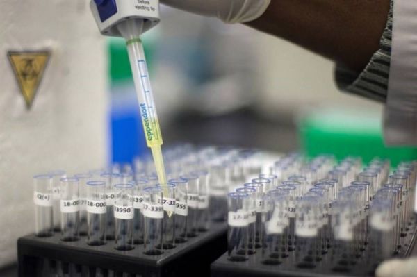  شارکی  سیف برقی از نظر نادو تخلفی مرتکب نشده است