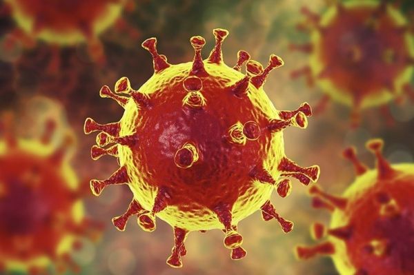 آمار کرونا فوت ۴۸ نفر در ۲۴ ساعت گذشته هشدار درباره وضعیت ۳ استان