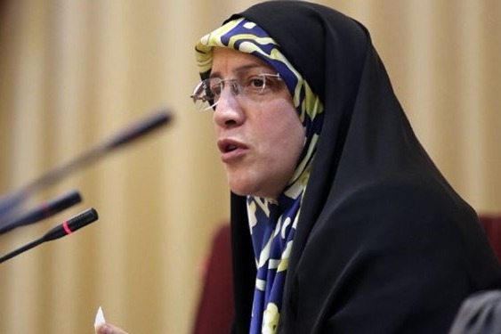 فرامرزیان فدراسیون فوتبال درباره قرارداد ویلموتس خودش باید تصمیم بگیرد