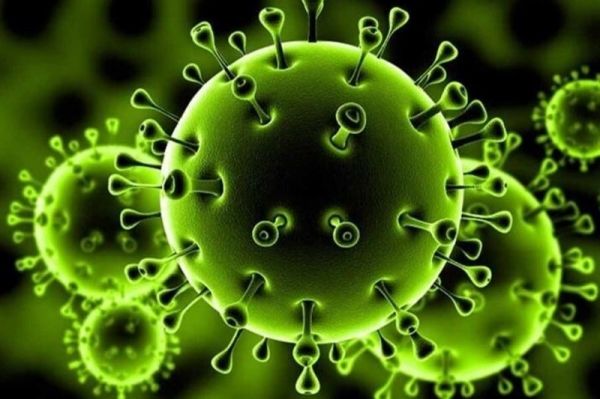  آمار کرونا در ایران؛ تست ۲۸۸۶ نفر مثبت شد