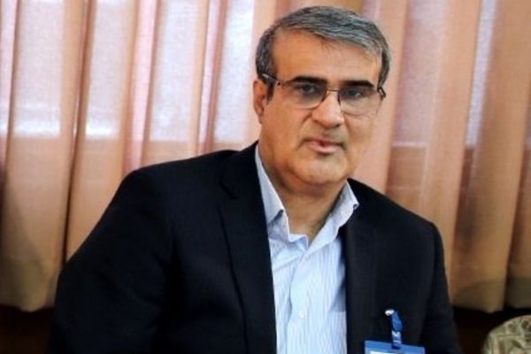 مشکلات ارزی و تحریم عامل اصلی منع ورود خارجیها