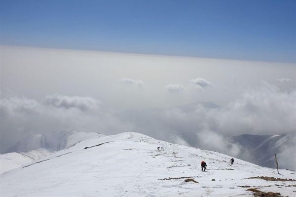 ۱۲ کشته و ۱۵ سرمازده؛ آمار دقیق حادثه ارتفاعات شمال تهران + اسامی کشته شدگان