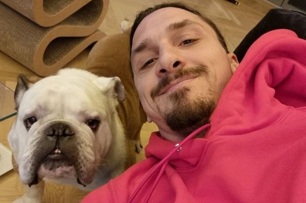 سلفی جالبی که زلاتان ابراهیموویچ در کنار سگش منتشر کرد