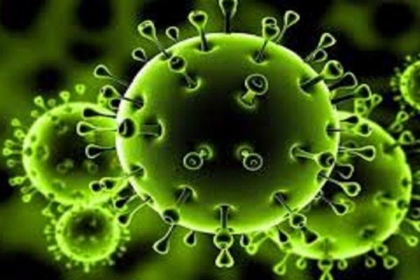 آخرین آمار مبتلایان به کرونا در کشور چهارشنبه ۹ خرداد