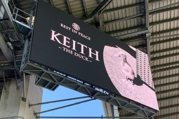 اتفاقی عجیب در فوتبال انگلیس ادای احترام به اردک توسط ویگانی ها