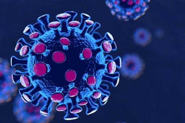  آخرین آمار مبتلایان به کرونا در کشور  دوشنبه ۲۶ مهر