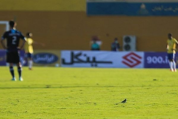  گزارش تسنیم  آقای درودگر  مبارزه با فساد؛ چرا این قدر دیر