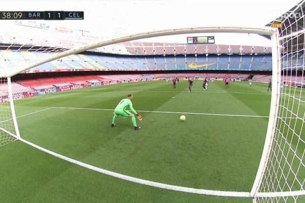  عکس؛ میخکوب شدن تراشتگن روی گل سلتاویگو