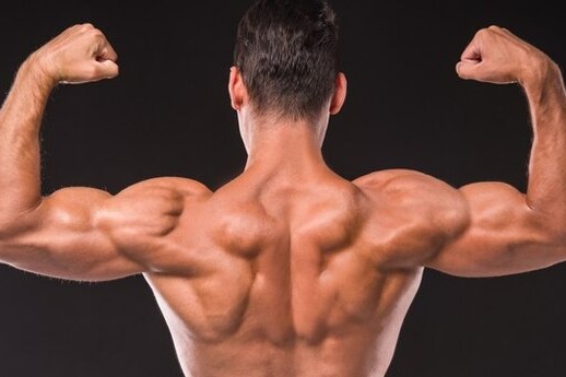  تیم پرورش اندام ایران از گرجستان دیپورت شد