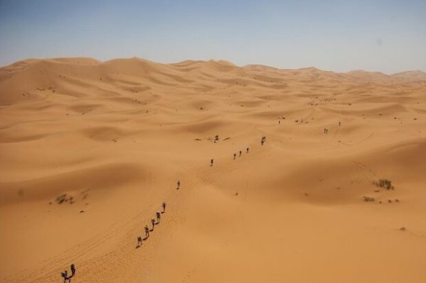  جان باختن یک دونده ماراتن در گرمای مراکش