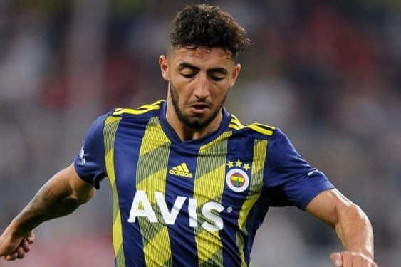 تغییر موضع هالسیتی در جذب صیادمنش عکس